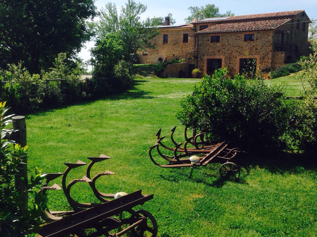 Agriturismo Il Selvatico