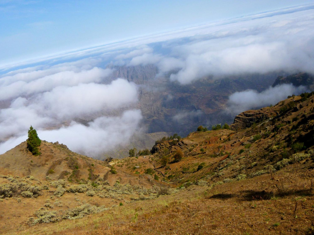 Porto Novo酒店住宿-Casa Espongeiro