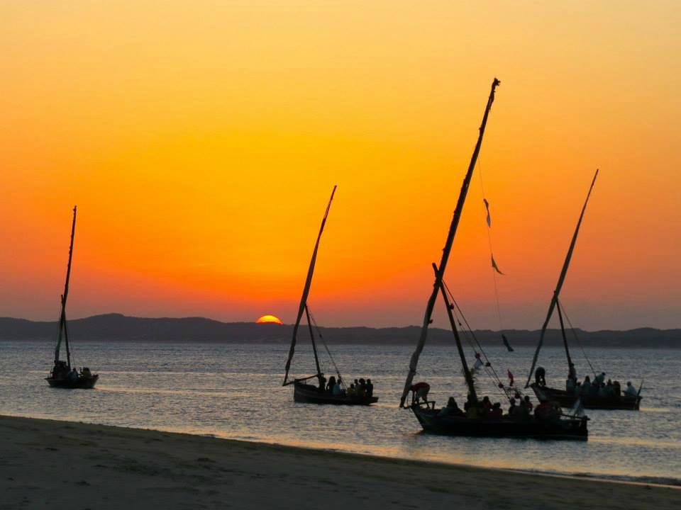 Unique Jungle Tours - Day Tours-阿鲁沙必去景点