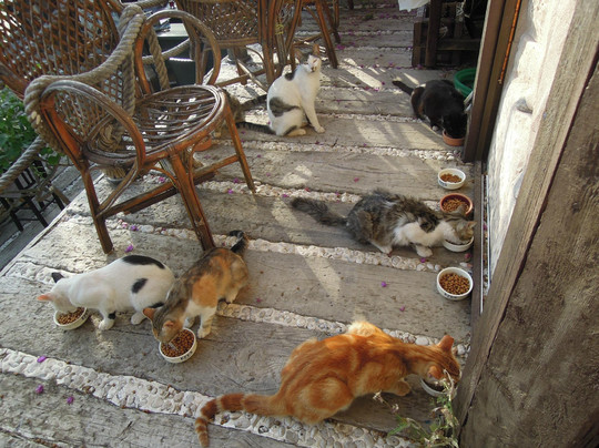 Deco Stop Bar-卡斯必去景点