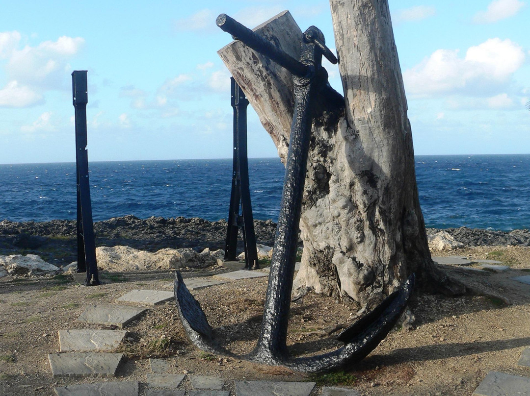 Animal Flower Cave-Saint Lucy Parish必去景点