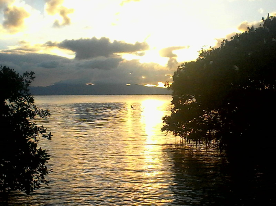 Clarisma Tour-Petit-Canal必去景点