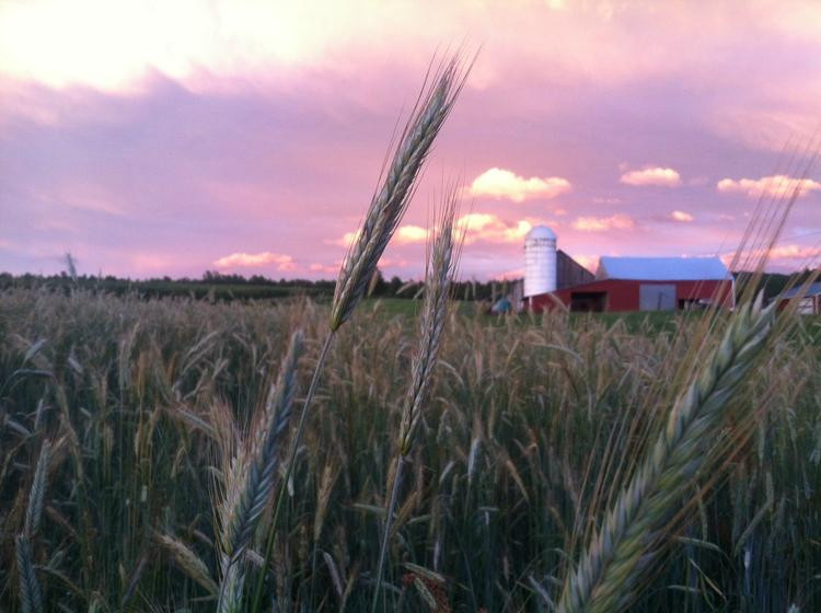 Mace Chasm Farm-Keeseville必去景点