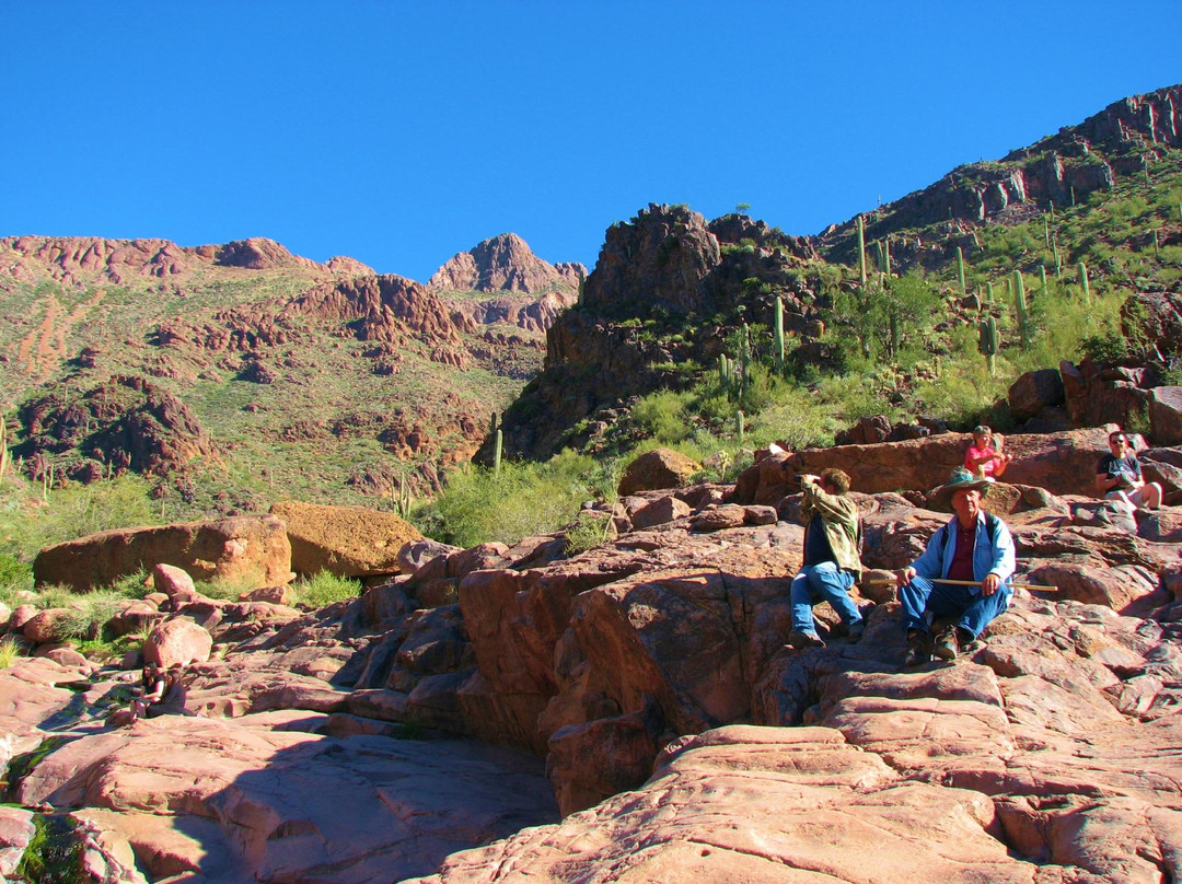 Gold Canyon旅游攻略图片