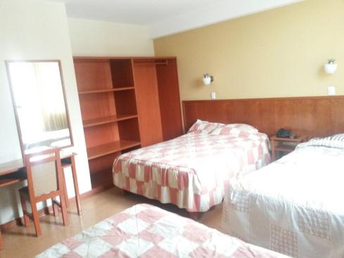 Primavera Plaza Hotel-客卧