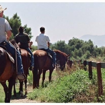 Prado Equestrian Center-奇诺必去景点