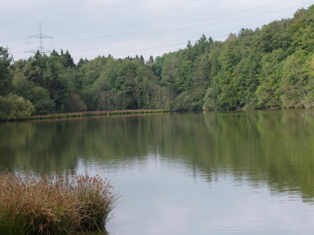 Tierpark Rheinböllen-Rheinbollen必去景点