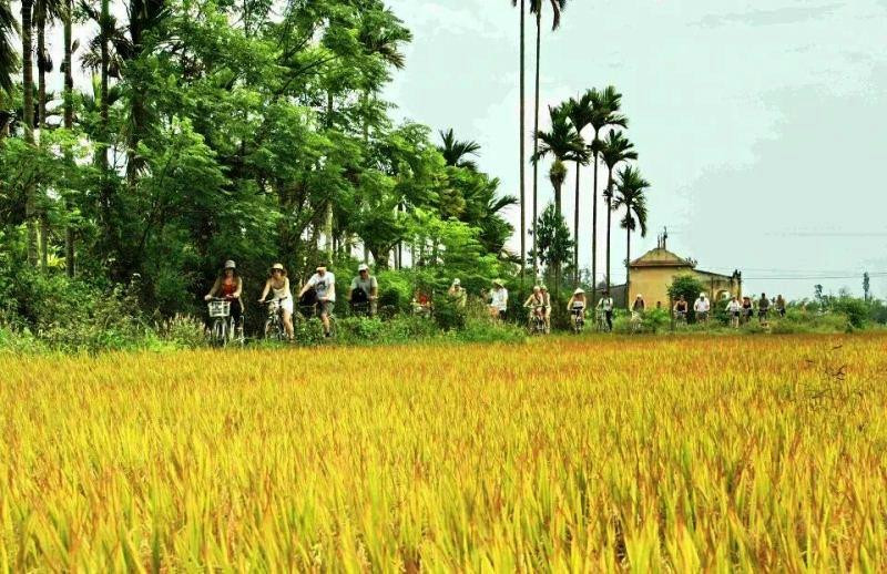 Kim Bong Carpentry Village-会安必去景点