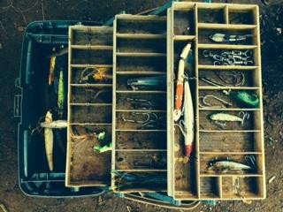 Pink Sand Tours-诺萨拉必去景点