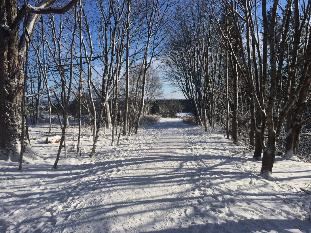 Amherst Point Bird Sanctuary-Amherst必去景点