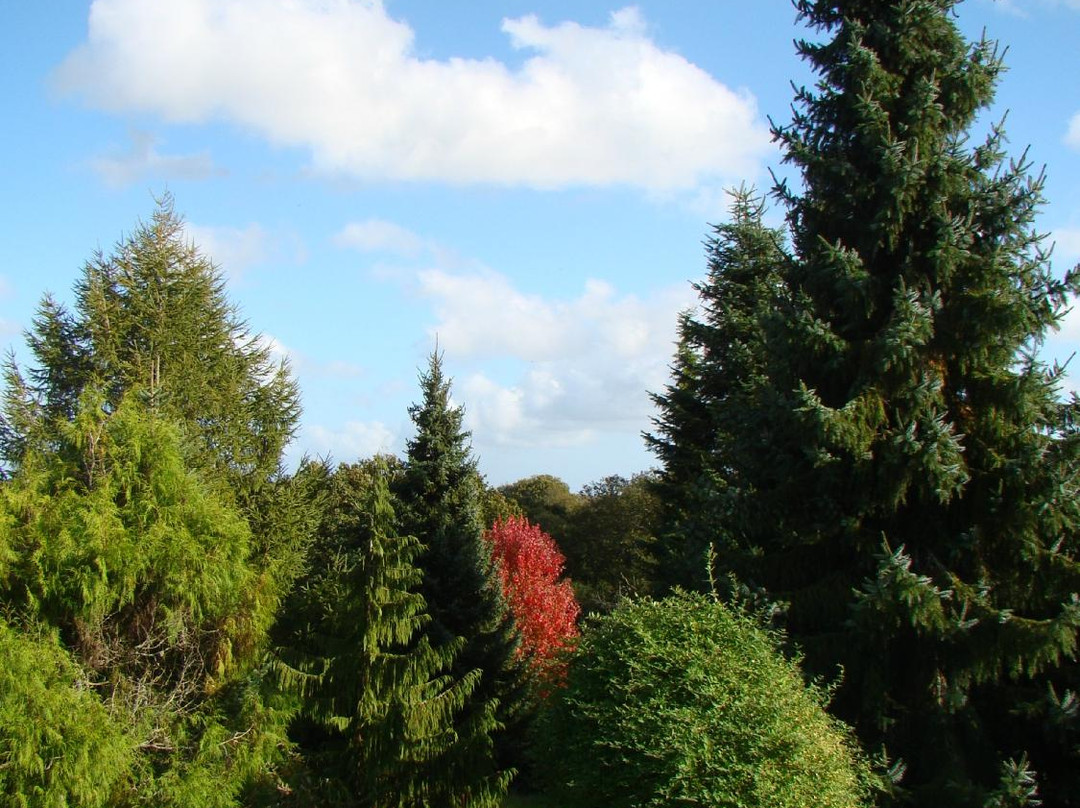 Arbres du Monde au Huelgoat景点图片