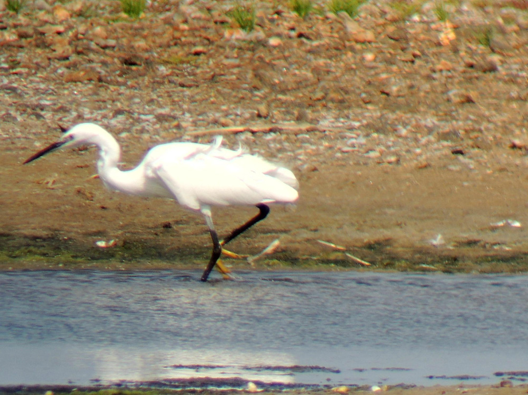 Titchfield Haven National Nature Reserve景点图片