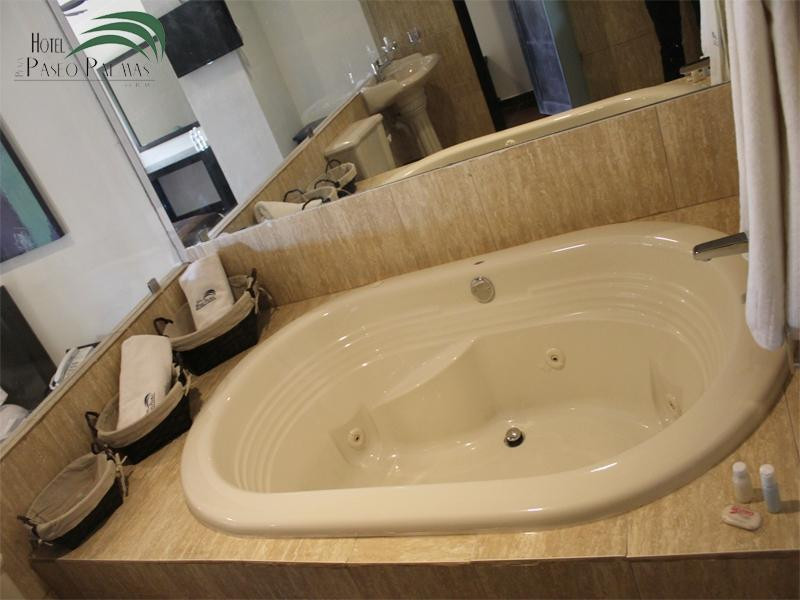 Hotel Paseo Palmas主图