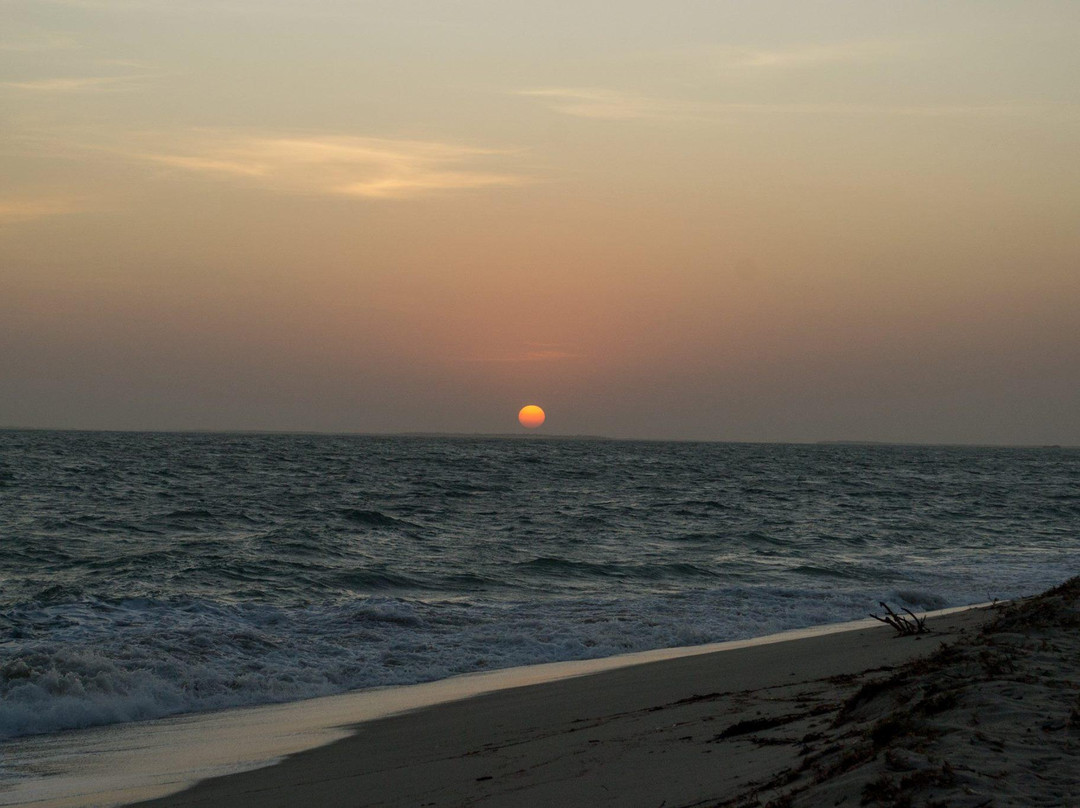 Cajueiro Da Praia Beach景点图片