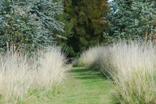 Munay Pampa-Minuano必去景点