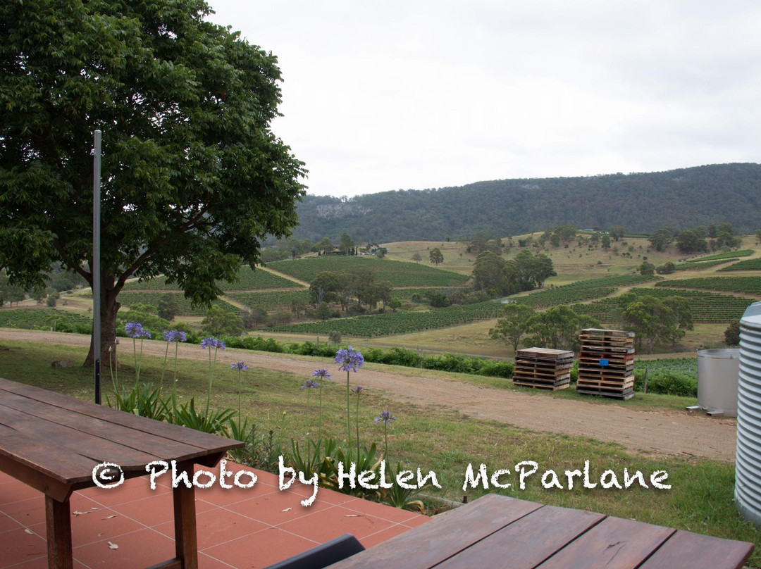 Mount View Estate Winery-Mount View必去景点