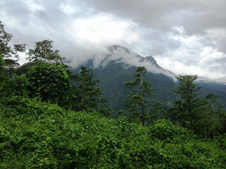 Manusela National Park-Seram Island必去景点
