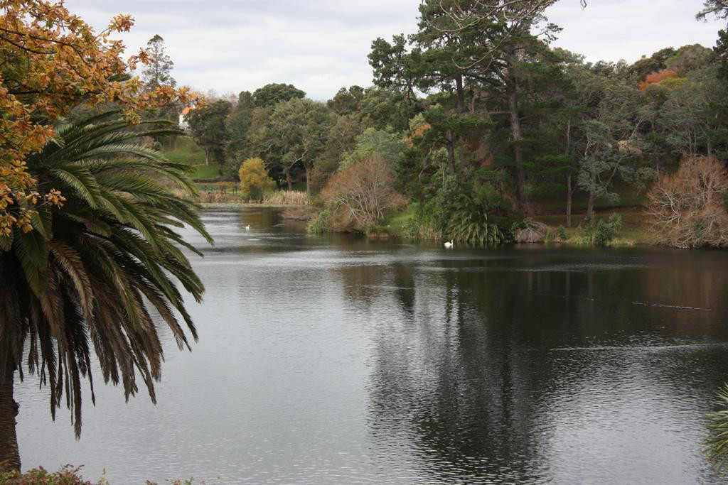 Virginia Lake景点图片