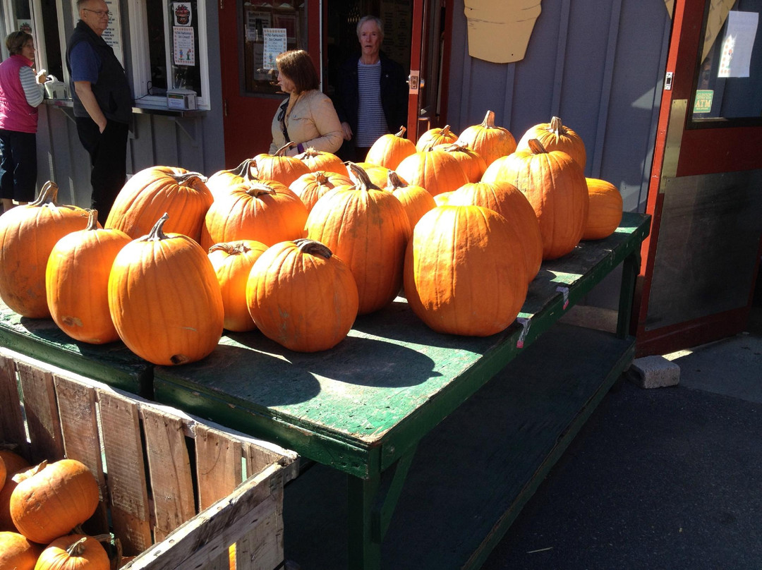 Bolton Orchards-Bolton必去景点