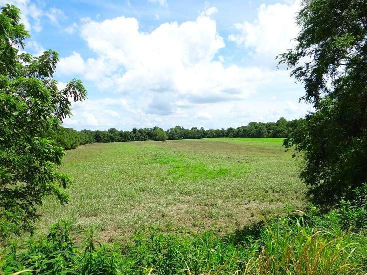 Staunton River Battlefield State Park景点图片