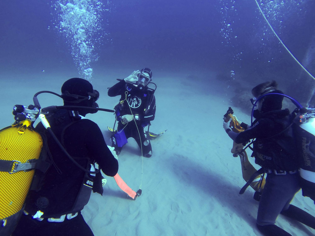 Shardana Diving Center-Calasetta必去景点