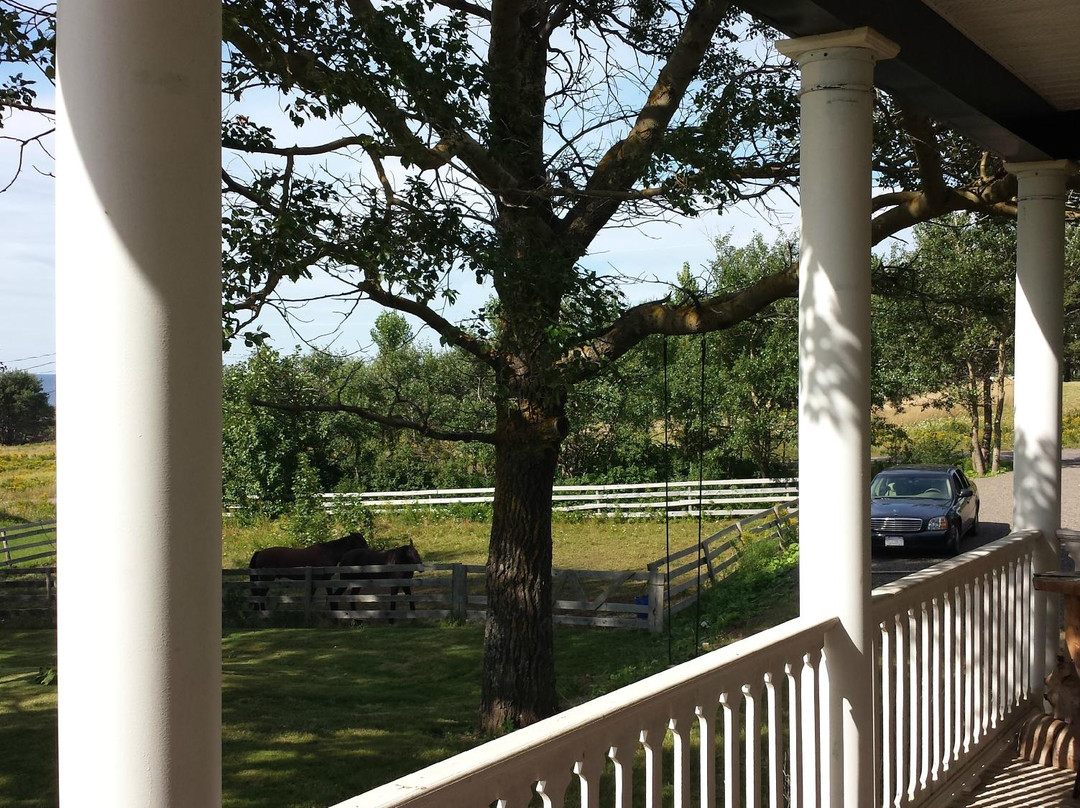 Dusky Diamonds Bed & Breakfast主图