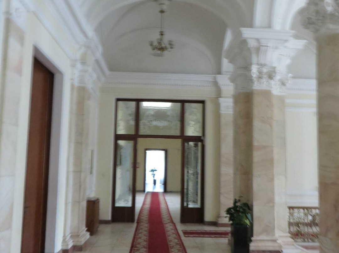 Roznovanu Palas / Iasi City Hall-雅西必去景点