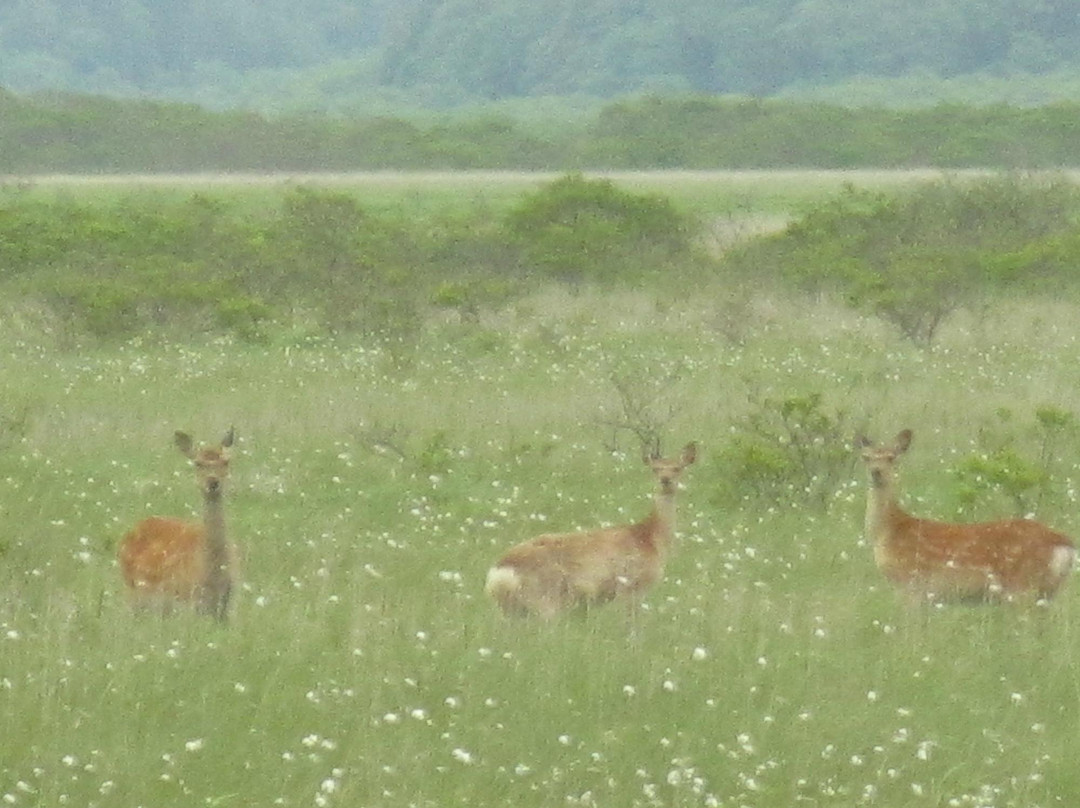 甘地路-滨中町必去景点