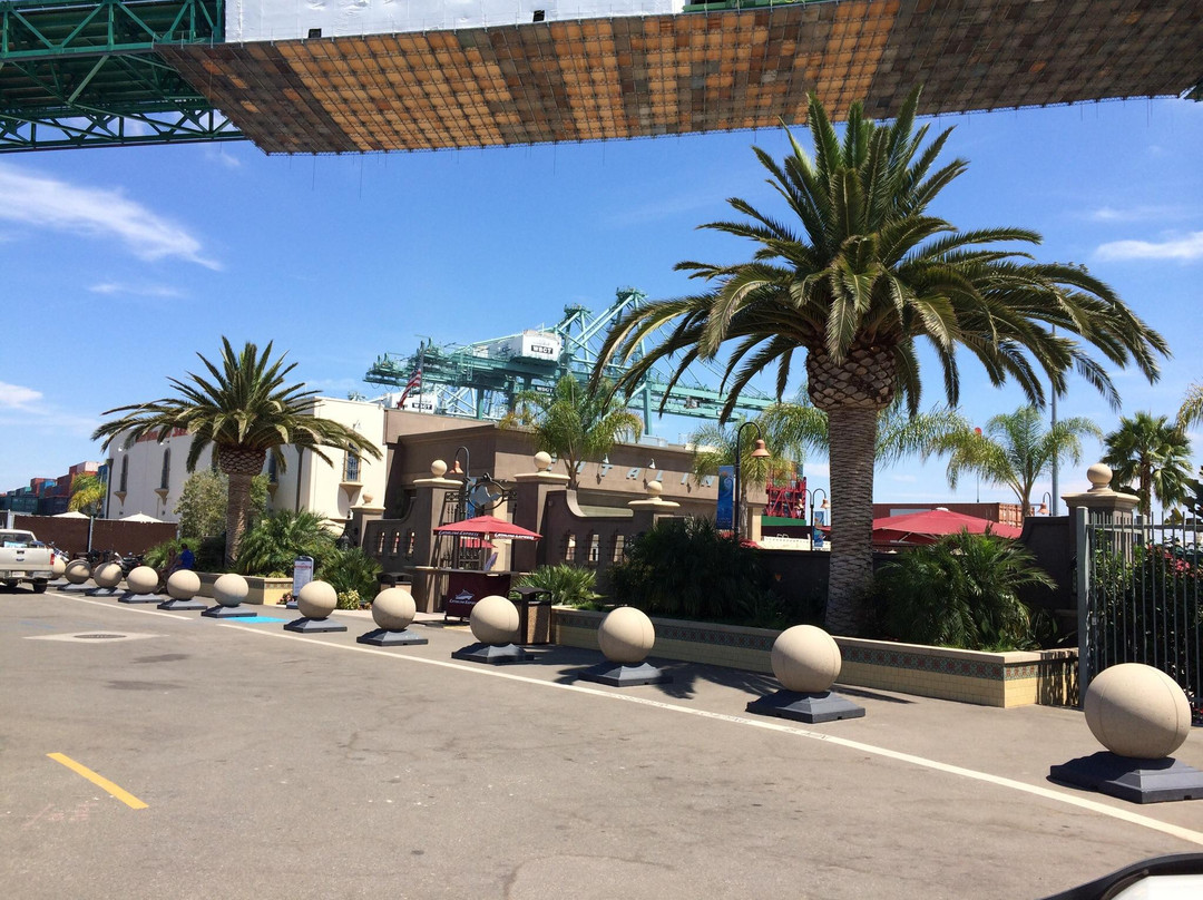 卡特琳娜小岛快捷游船-长滩必去景点