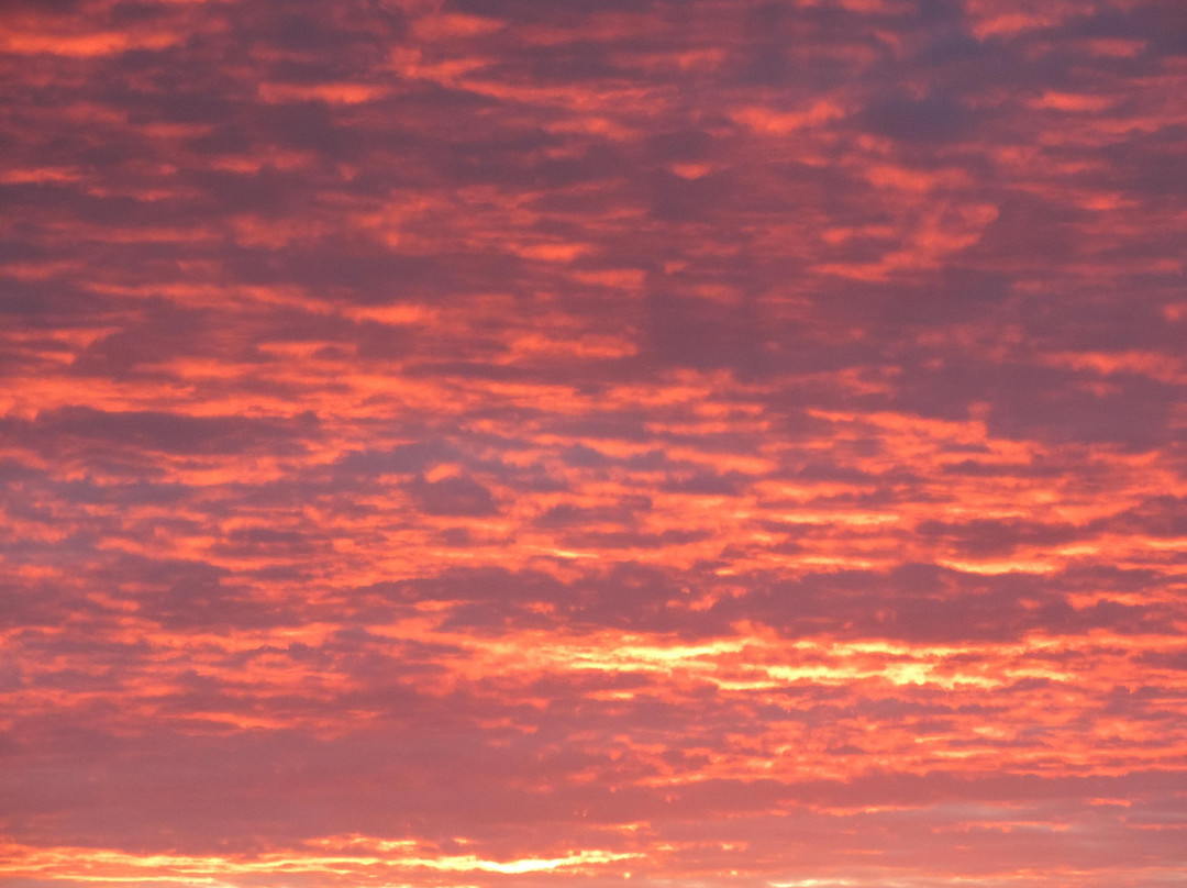 Overlook Park-南伯灵顿必去景点