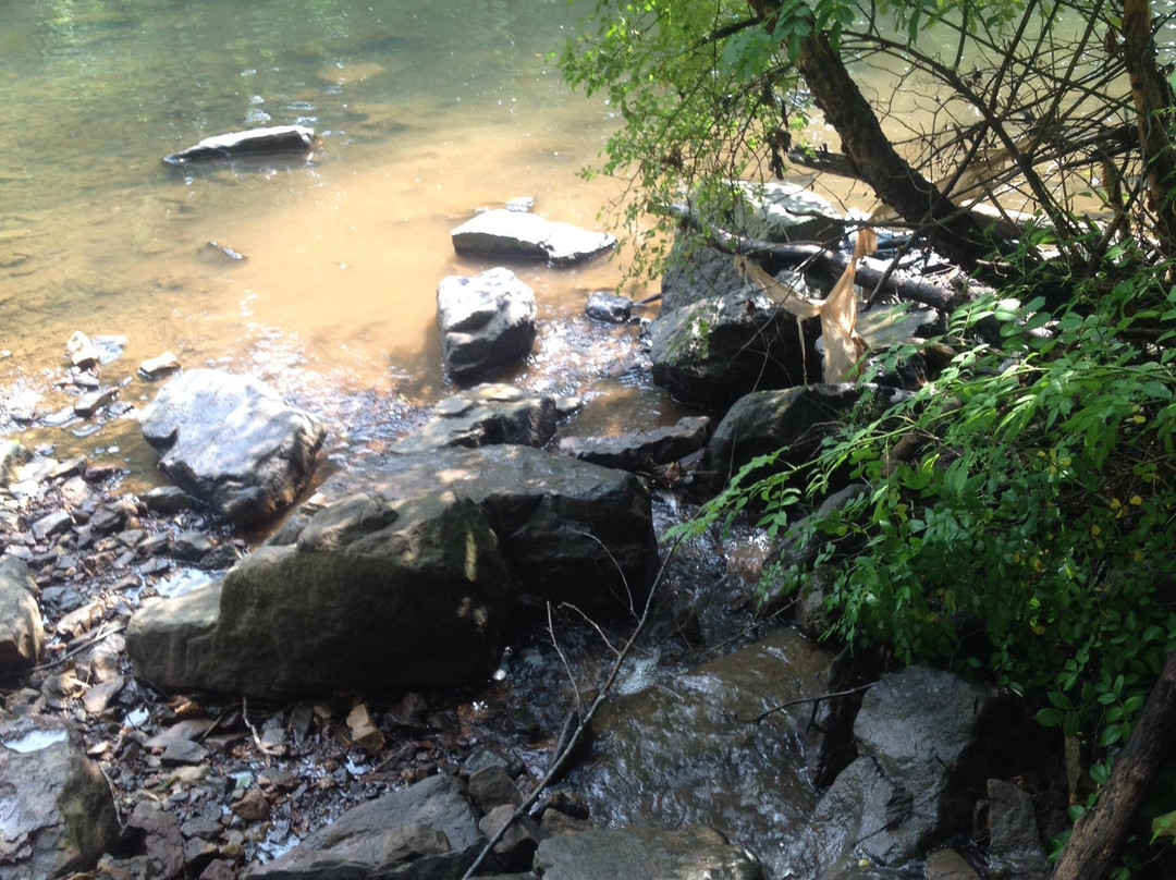 Swatara State Park景点图片