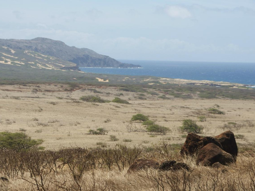 Moʻomomi Beach-霍奥莱胡阿必去景点