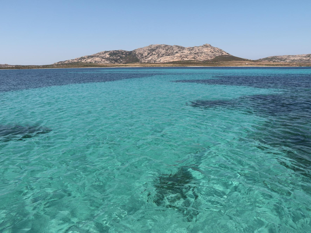 Futurismo - Escursioni Asinara-斯廷蒂诺必去景点