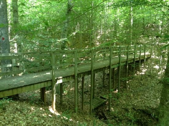 Medoc Mountain State Park景点图片