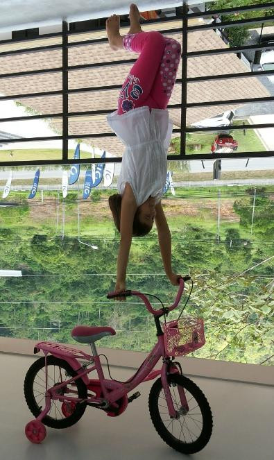 The Upside Down House Museum & Fun Attractions-拉特萨达必去景点