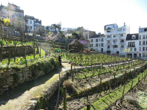 蒙马特尔博物馆-巴黎必去景点