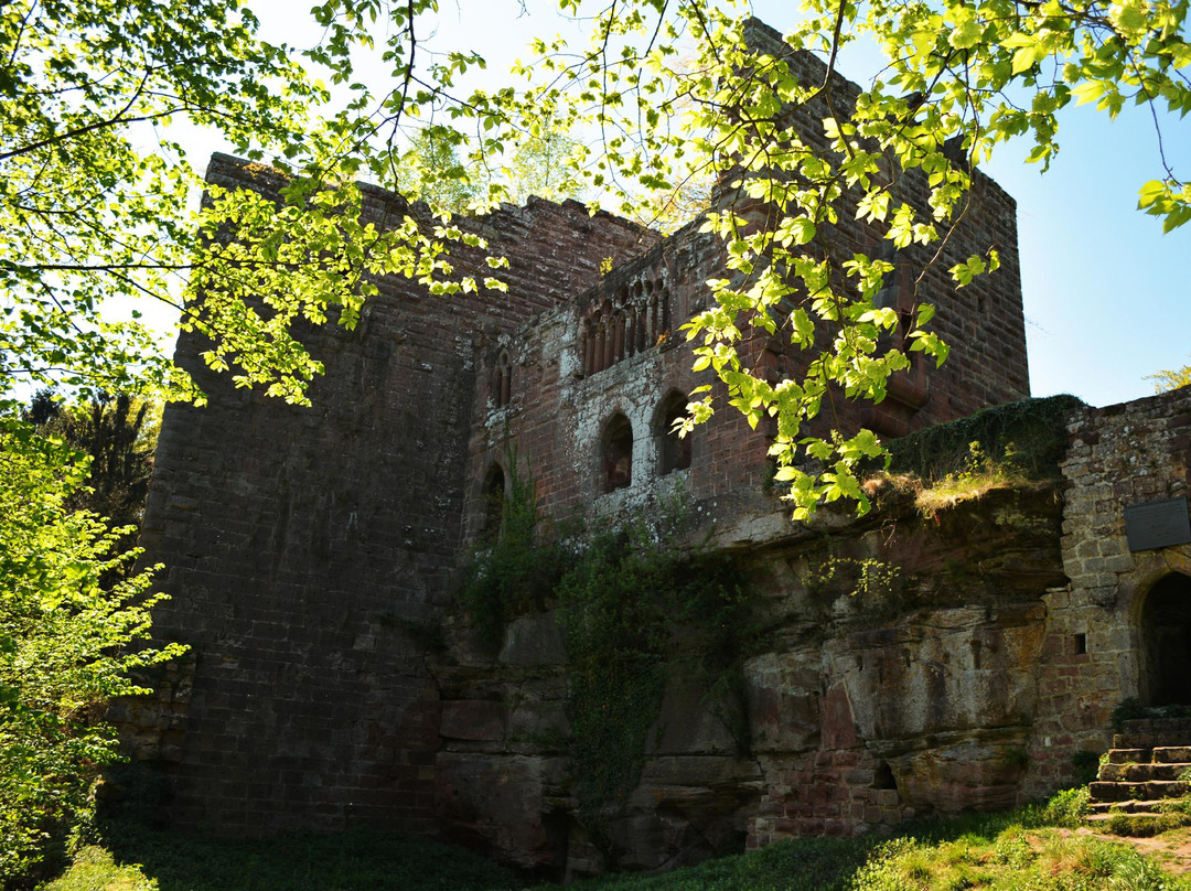 Chateau du Wasenbourg景点图片