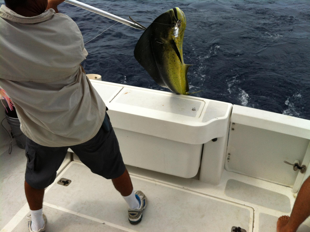 Las Islas Lodge Sportfishing景点图片