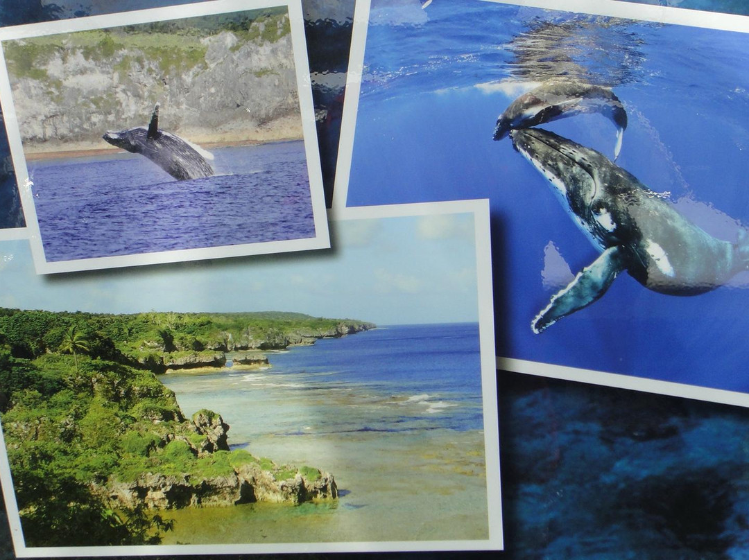 Tomb Point-阿洛菲必去景点