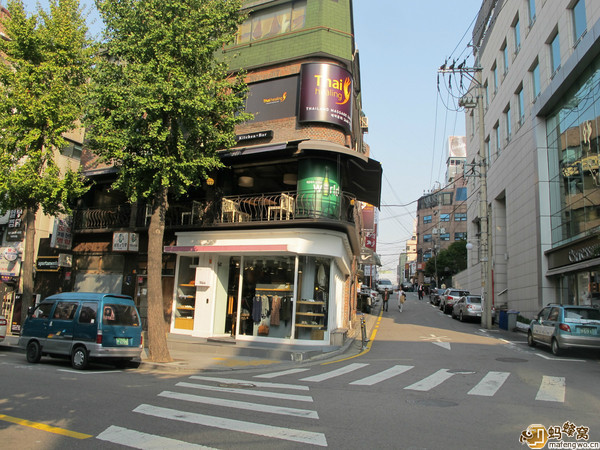 新沙洞林荫树路-首尔必去景点