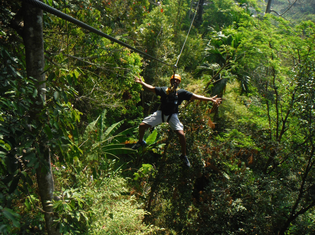 丛林飞梭-卡图必去景点