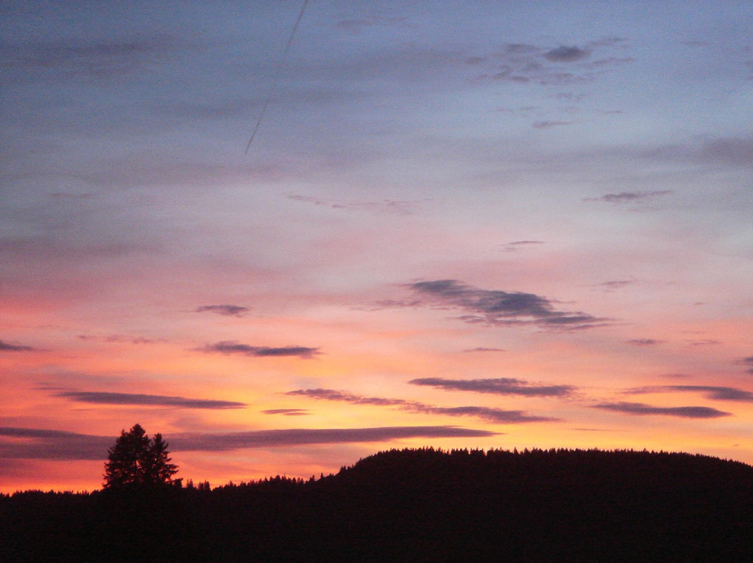 Pension Enzian主图