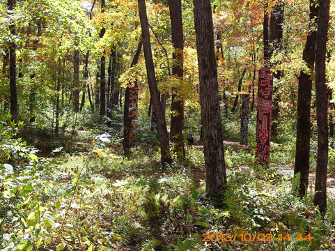 红石国家森林公园-桦甸市必去景点