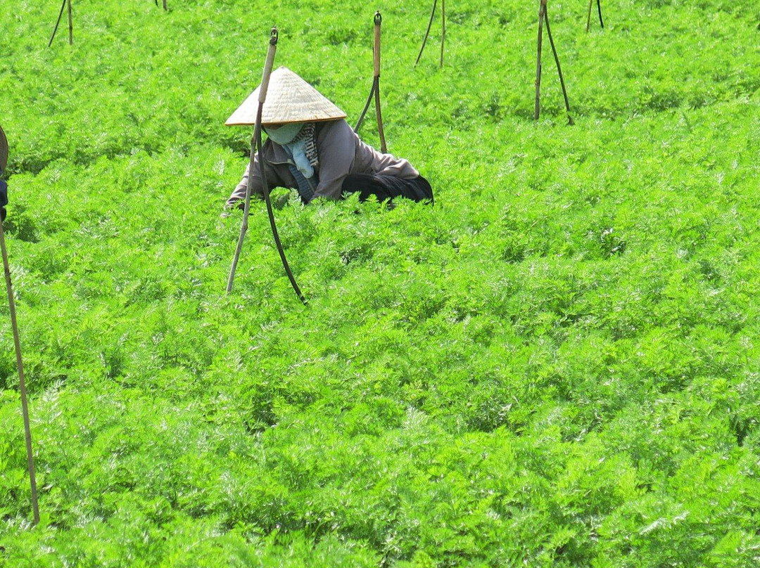 Vietnam Smiling Easyrider - Motorbike Tours-芽庄必去景点