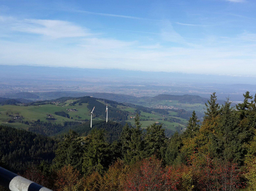 Schauinslandbahn-Horben必去景点