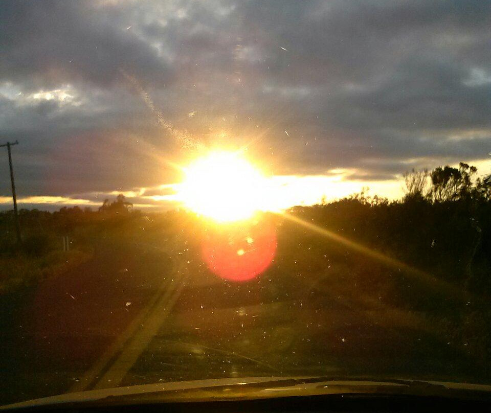 Suisun City Marina and Boat Ramp-Suisun City必去景点