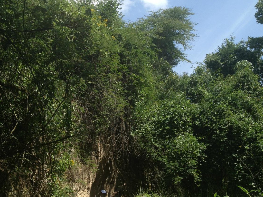 Kariandusi Museum-纳库鲁必去景点