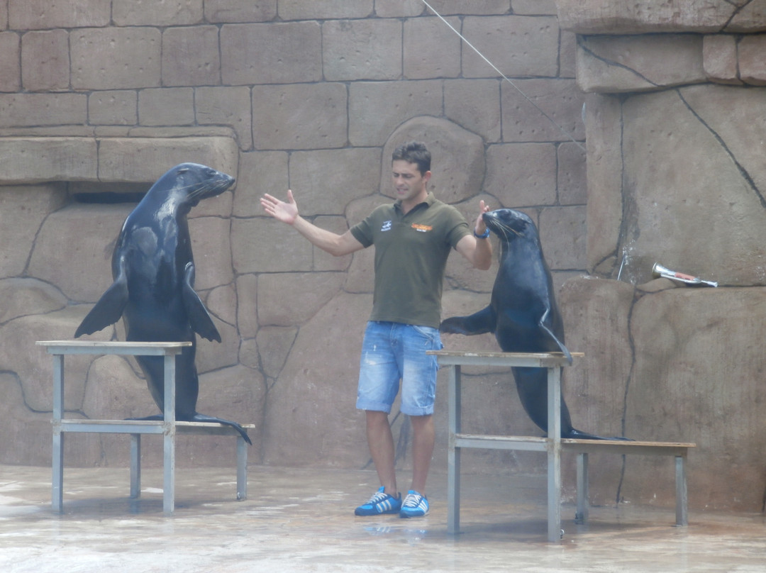 Rio Safari Elche景点图片