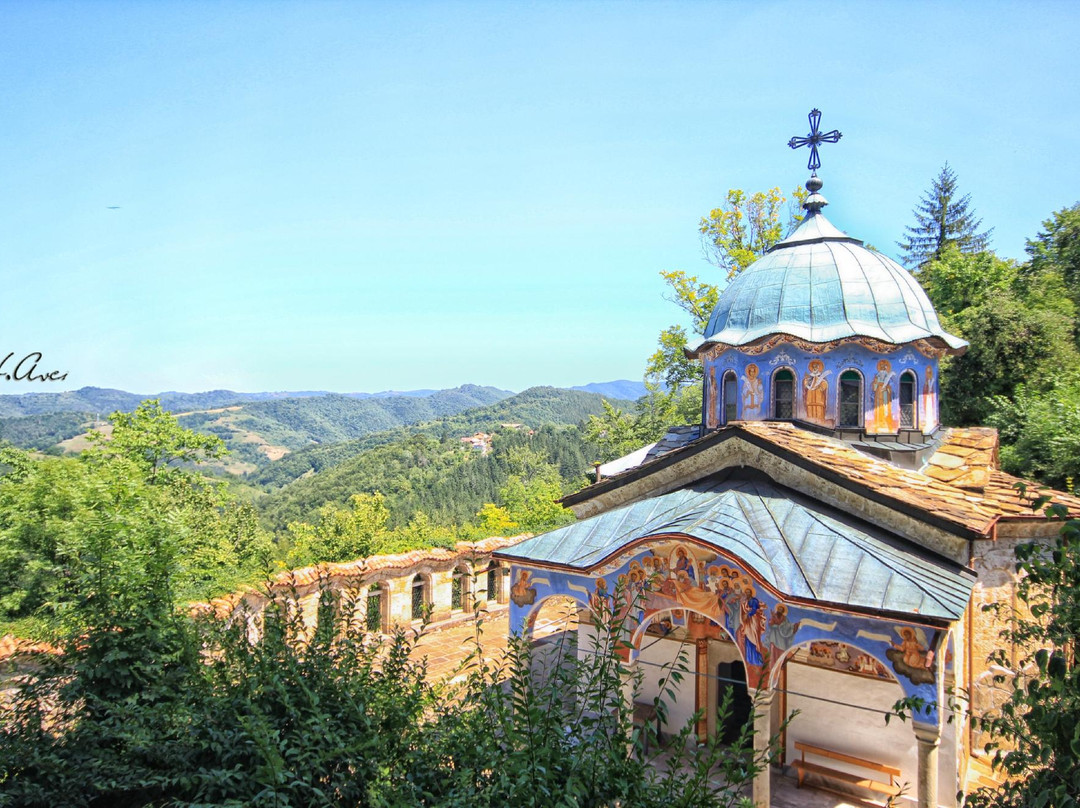 Sokolski Monastery景点图片