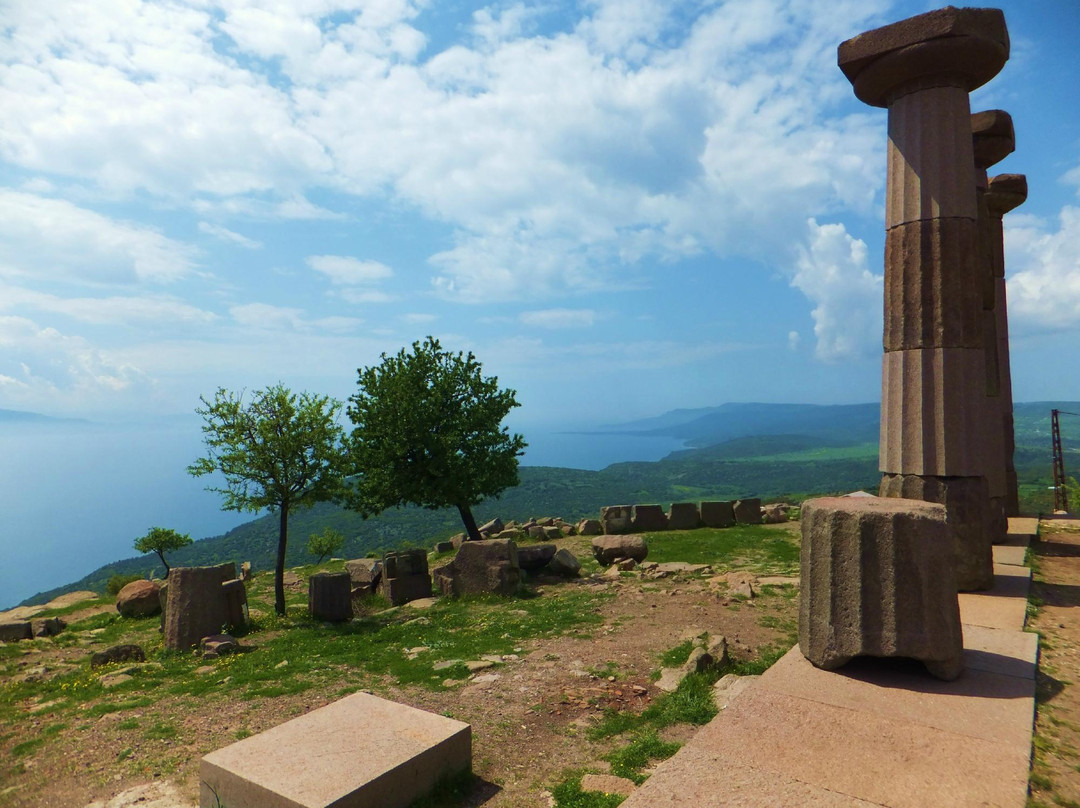 Athena Temple景点图片
